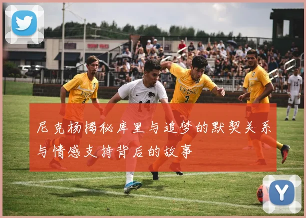 尼克杨揭秘库里与追梦的默契关系与情感支持背后的故事