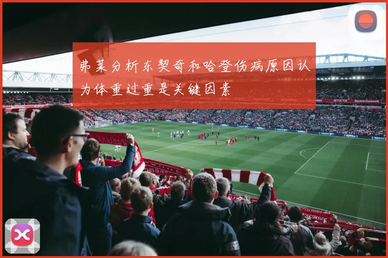 弗莱分析东契奇和哈登伤病原因认为体重过重是关键因素